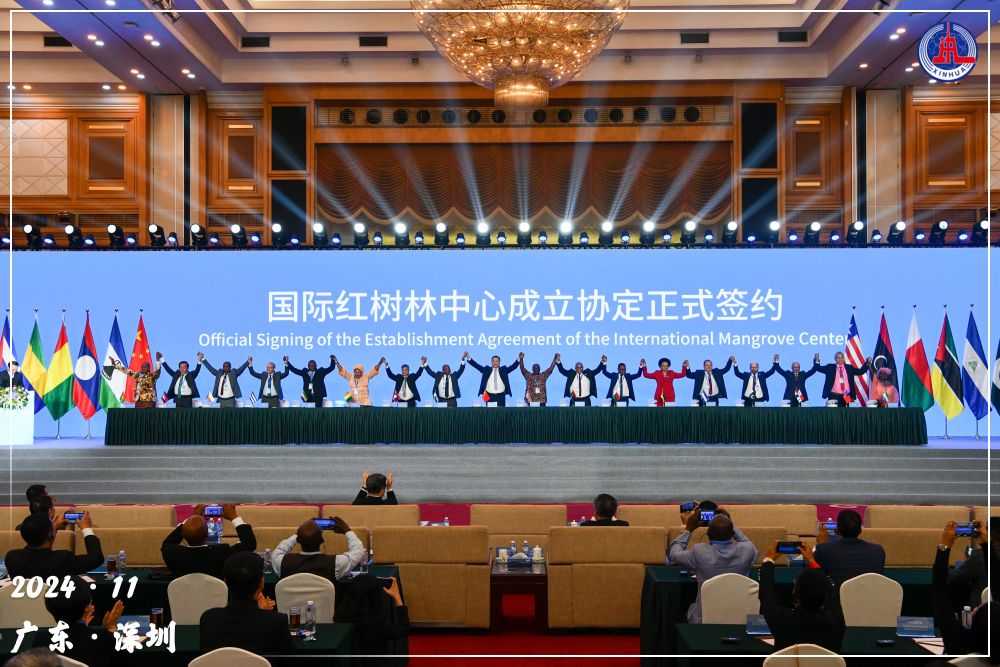 镜观·回响丨守护红树林 中国在行动