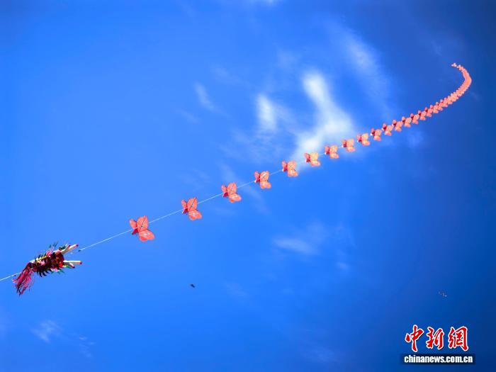 青海西宁:高原天空上演风筝秀