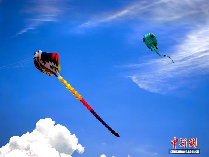 青海西宁:高原天空上演风筝秀