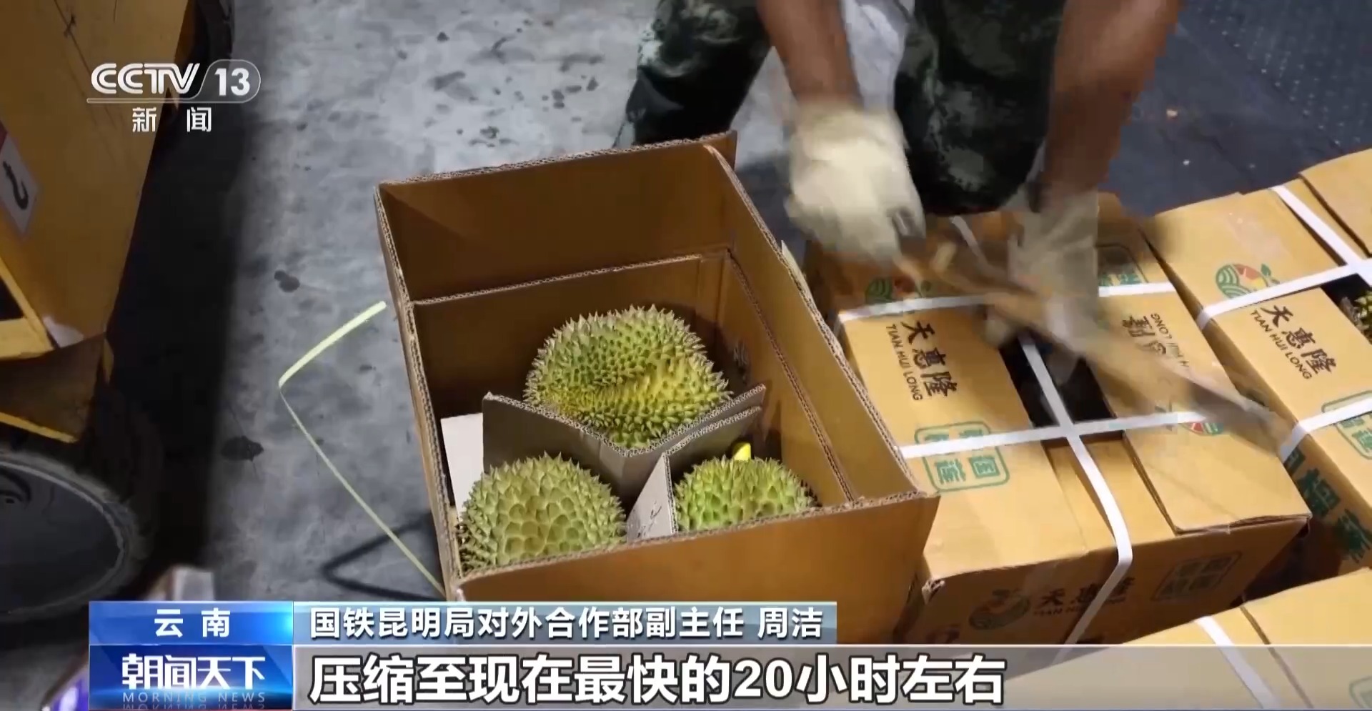 今年榴莲新鲜又便宜?背后是“冷链接力”有了新变化
