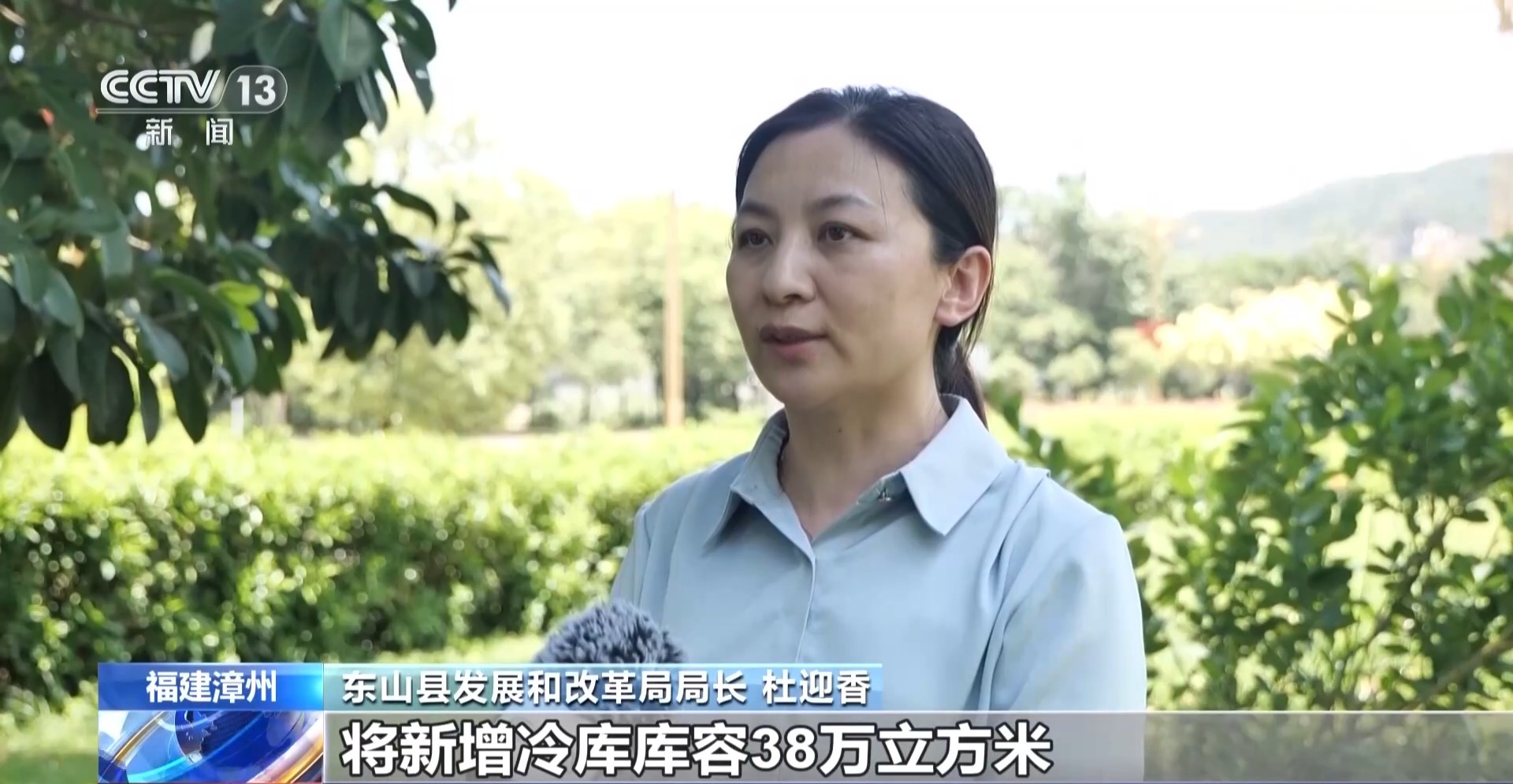 今年榴莲新鲜又便宜?背后是“冷链接力”有了新变化