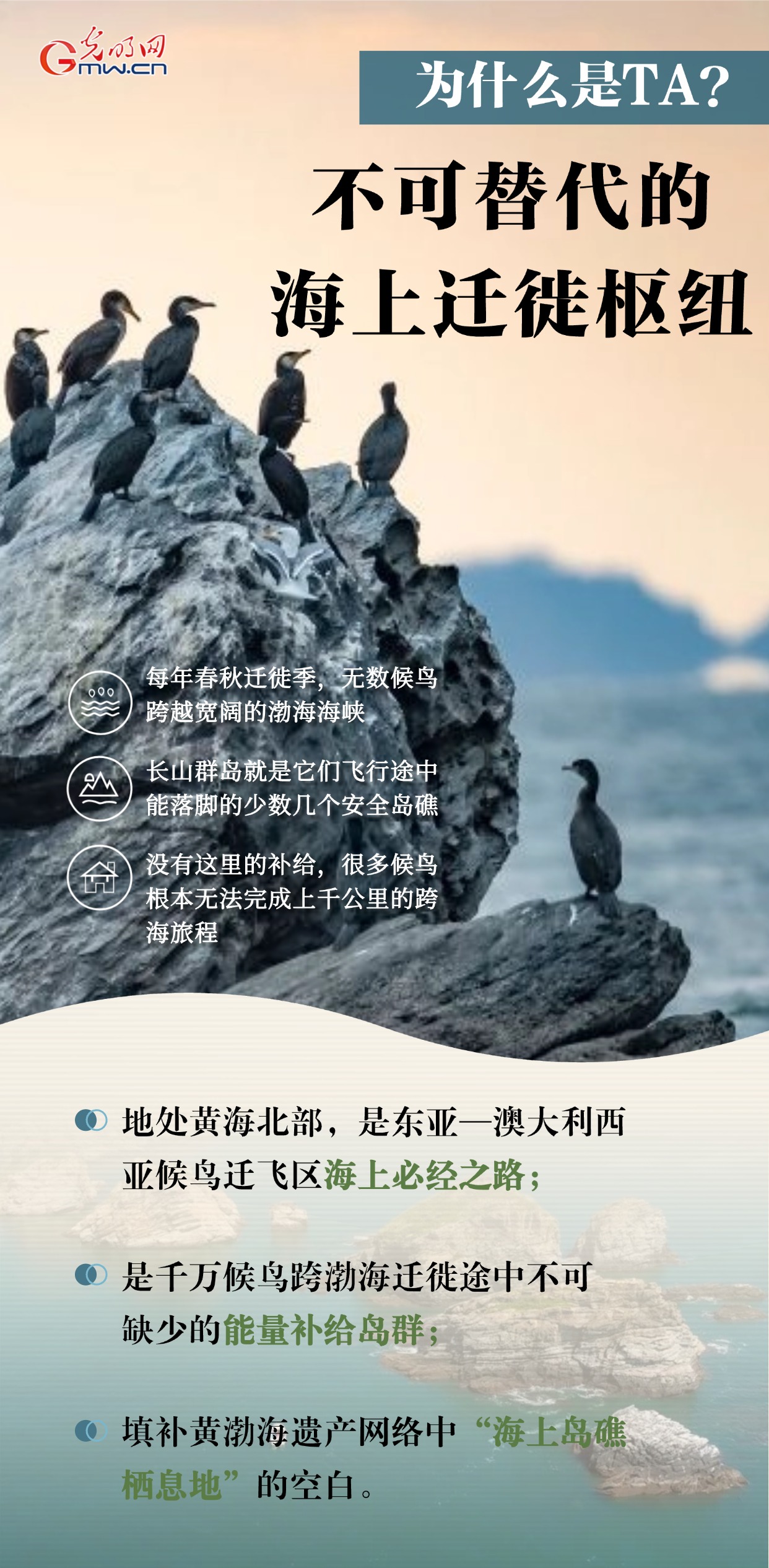 长山群岛入世遗：让每一次跨海迁徙都有落脚的岸