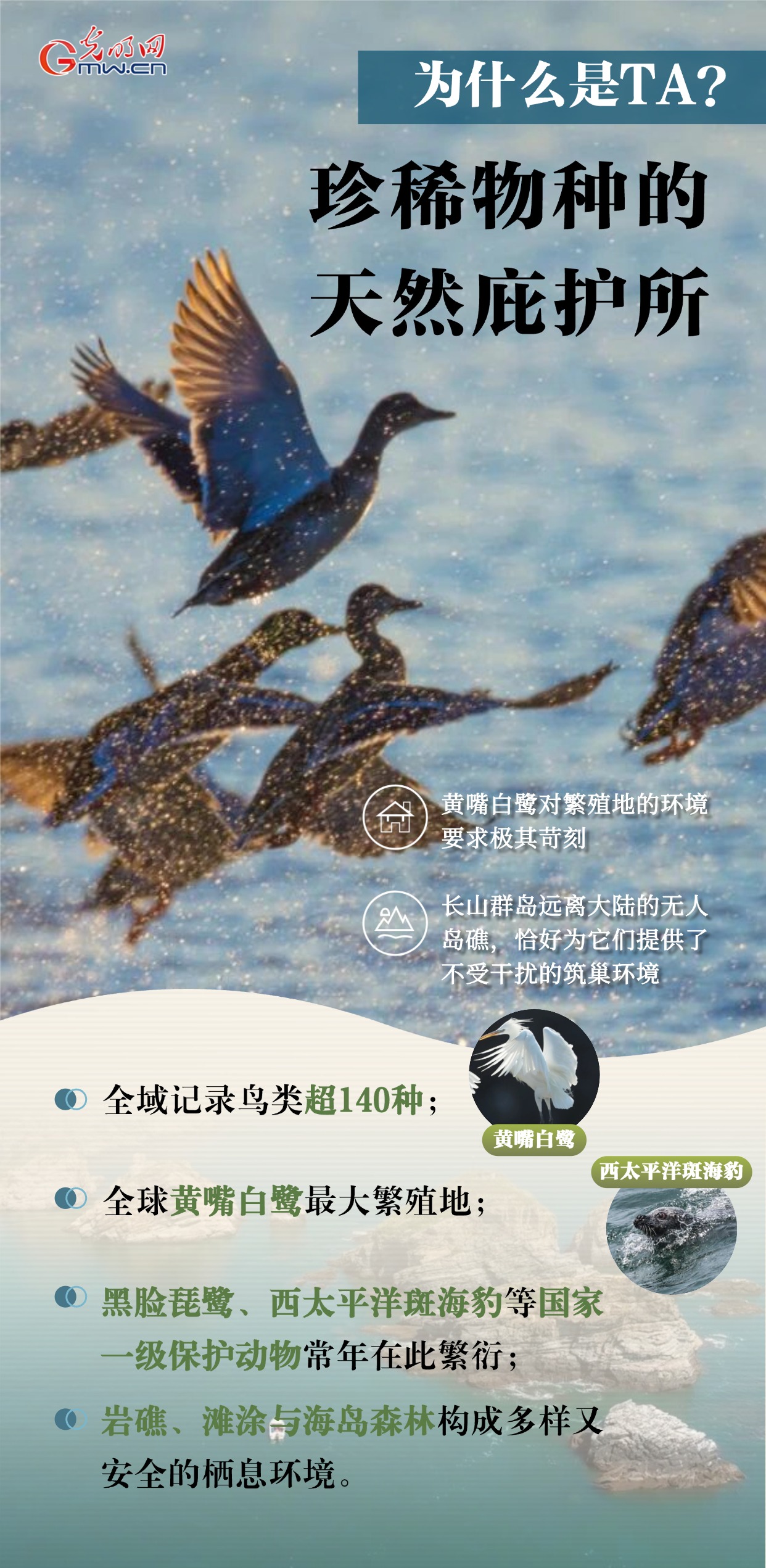 长山群岛入世遗：让每一次跨海迁徙都有落脚的岸