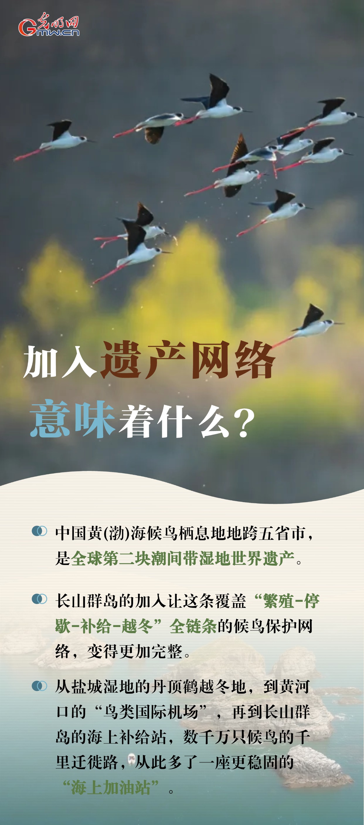 长山群岛入世遗：让每一次跨海迁徙都有落脚的岸