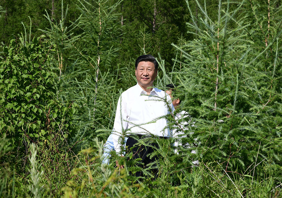 “人不负青山,青山定不负人”