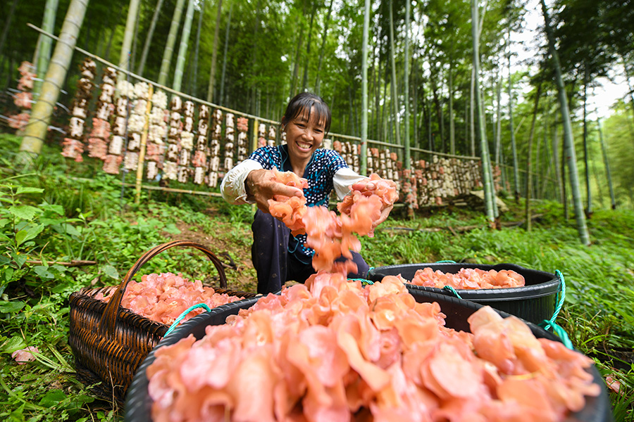 “人不负青山,青山定不负人”