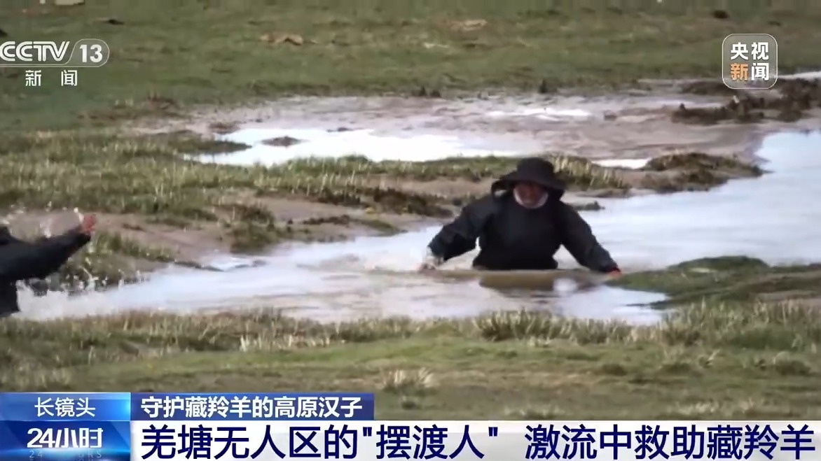 从“摆渡人”到“奶爸” 高原汉子在生命禁区守护藏羚羊
