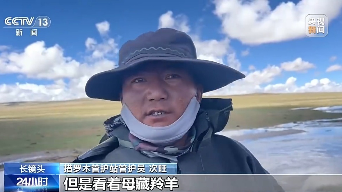 从“摆渡人”到“奶爸” 高原汉子在生命禁区守护藏羚羊