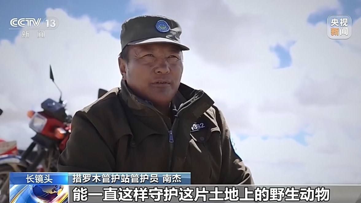 从“摆渡人”到“奶爸” 高原汉子在生命禁区守护藏羚羊
