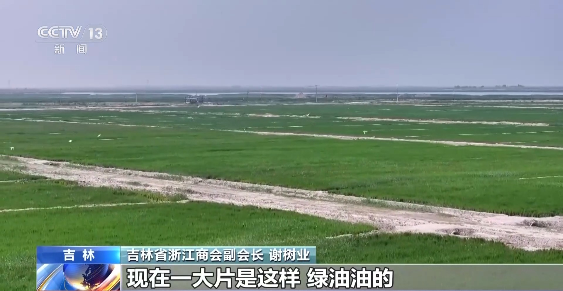 年中经济观察丨去产地建工厂 “飞地粮仓”探索跨省协作新样板