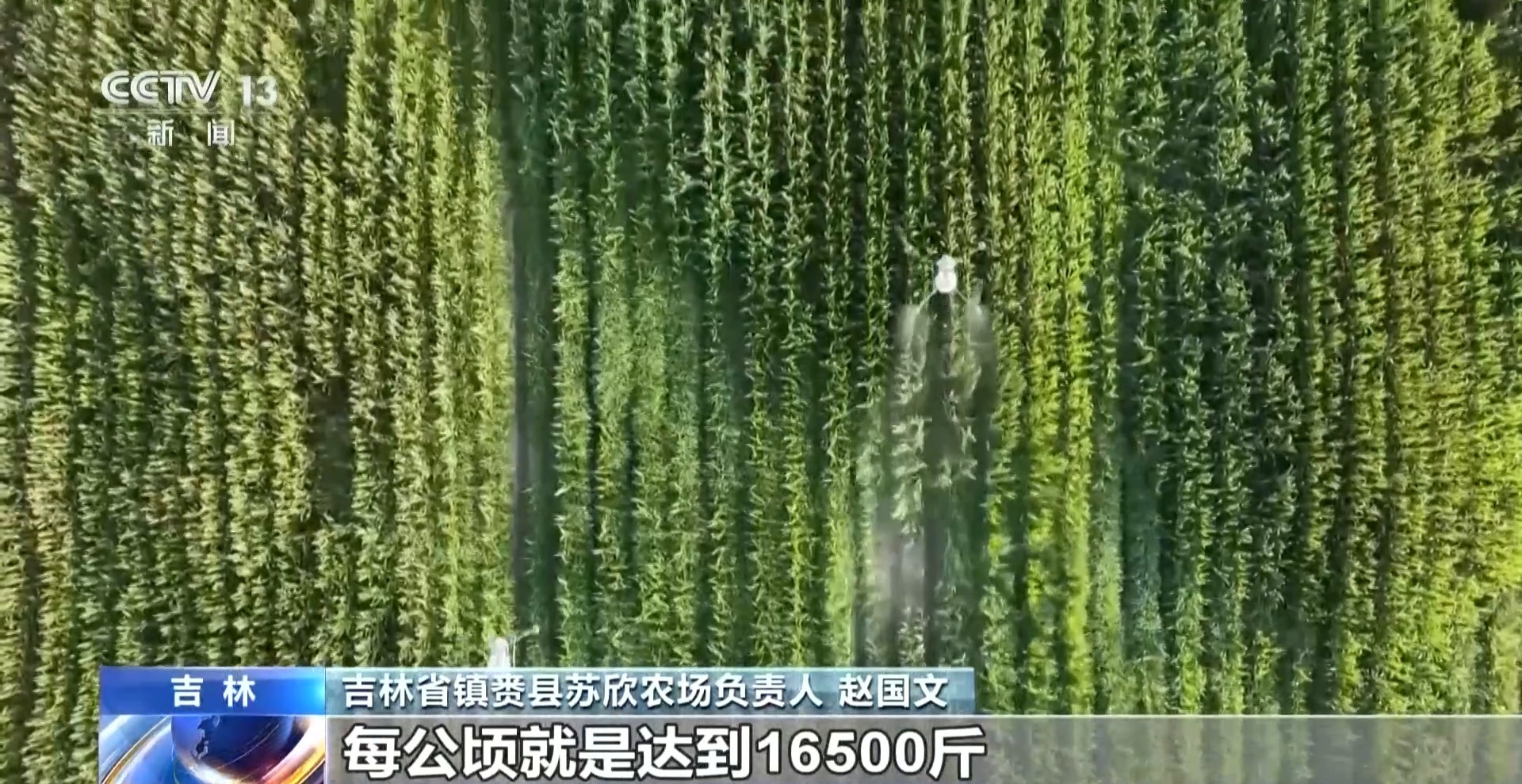 年中经济观察丨去产地建工厂 “飞地粮仓”探索跨省协作新样板