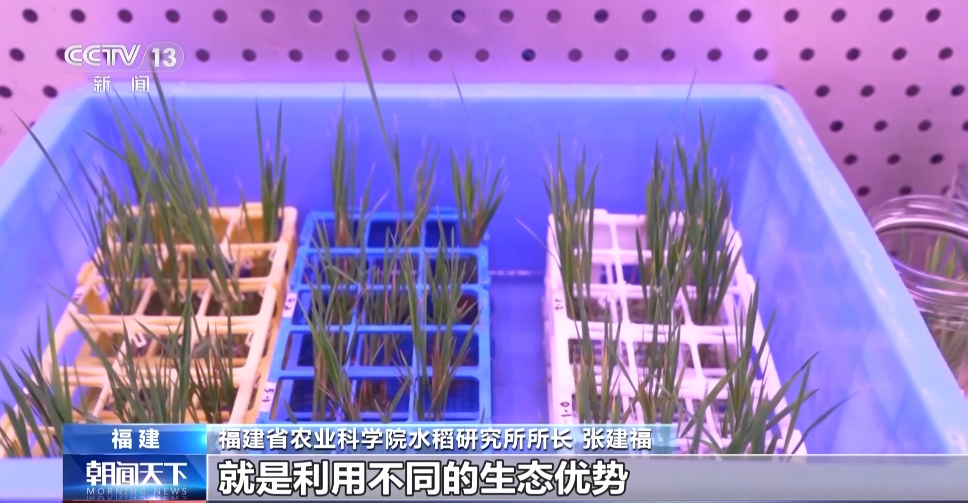 年中经济观察丨去产地建工厂 “飞地粮仓”探索跨省协作新样板