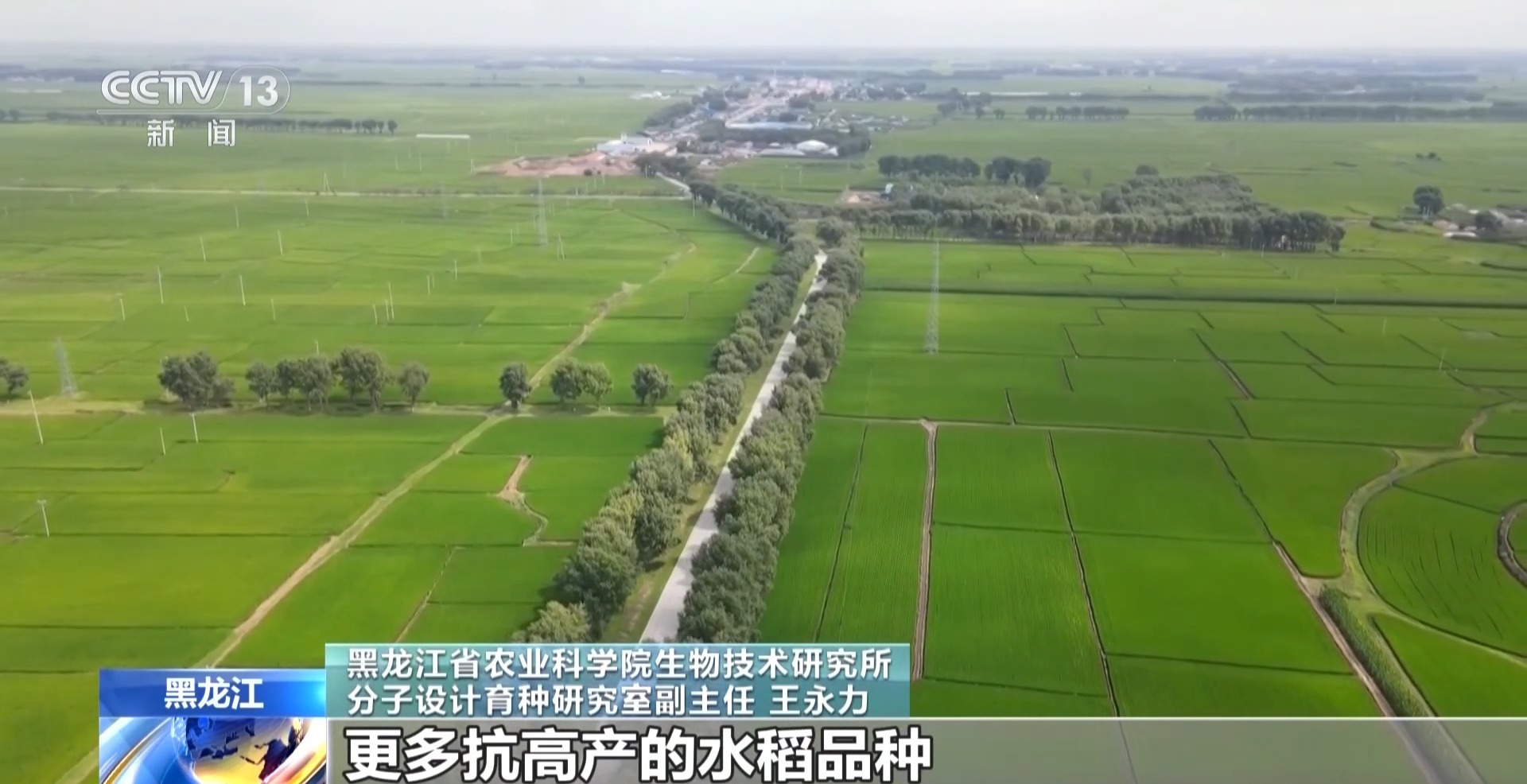 年中经济观察丨去产地建工厂 “飞地粮仓”探索跨省协作新样板