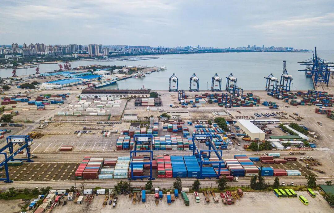 时政微观察丨向新向优向好!中国经济展现强大韧性和活力