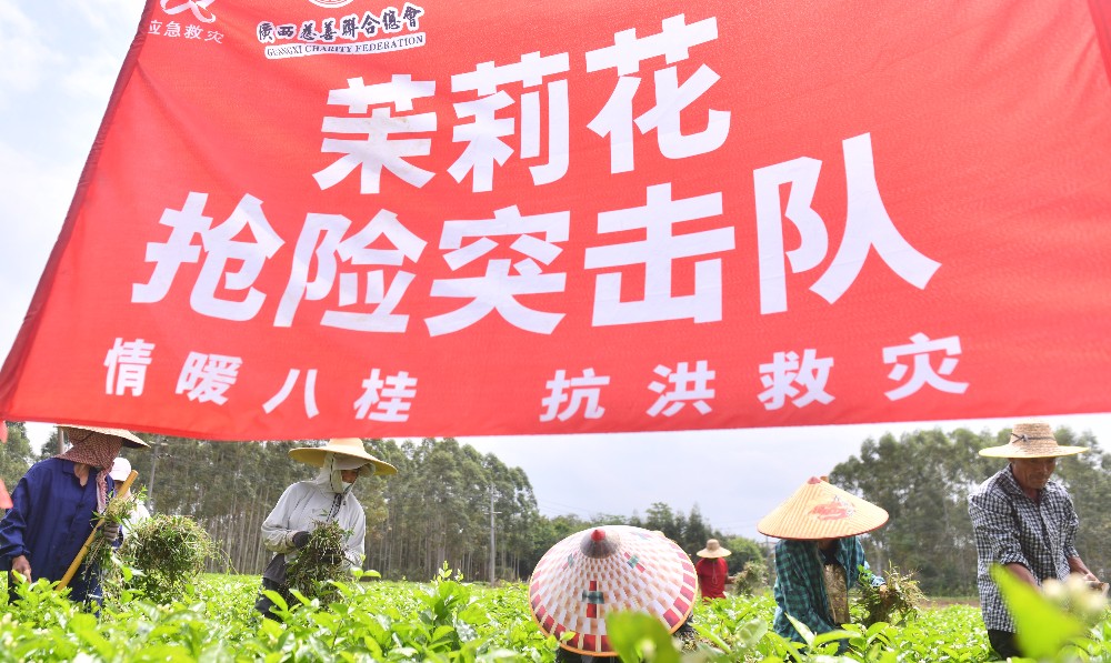 风雨磨砺香如故