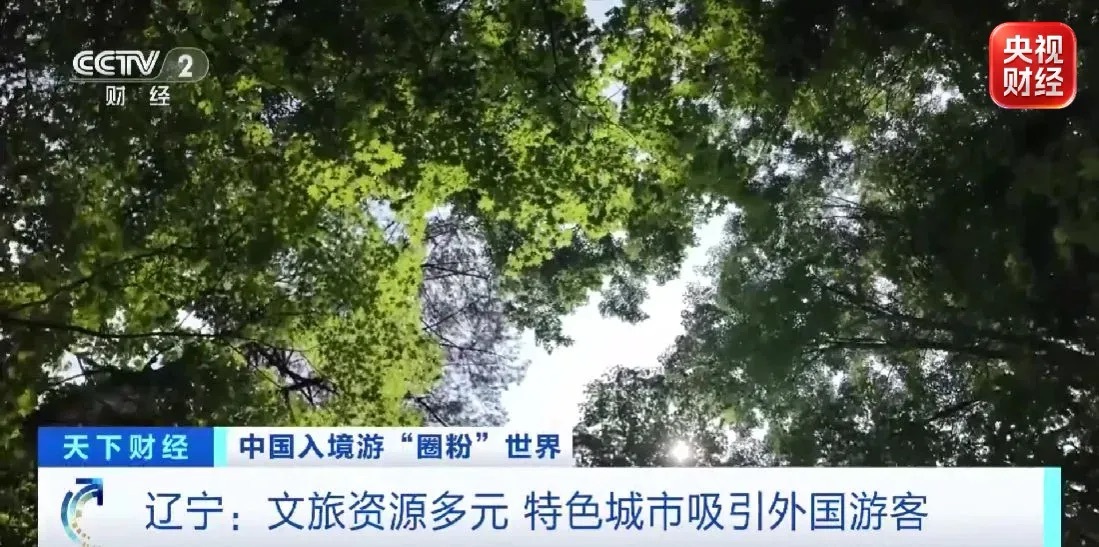视频丨旅行体验越玩越深!“China Travel”持续升温