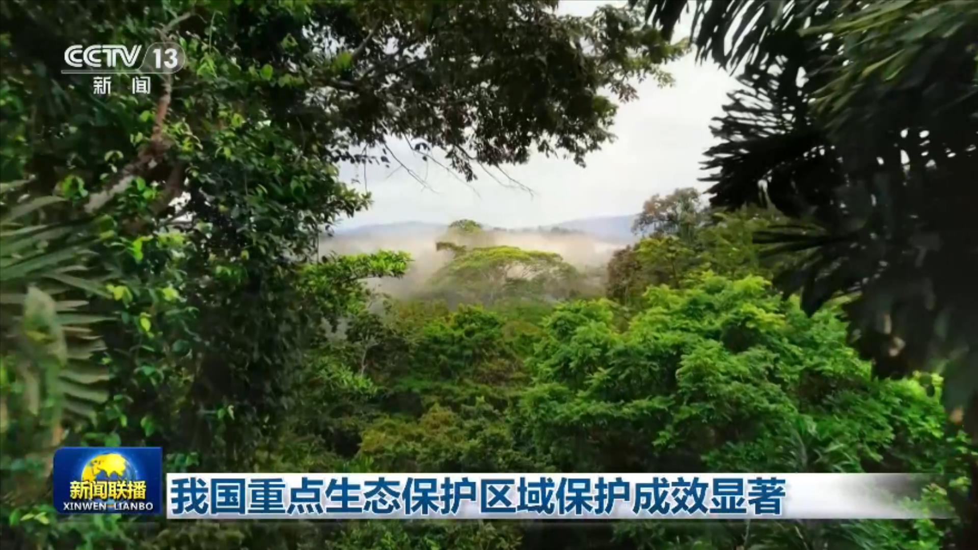 我国重点生态保护区域保护成效显著