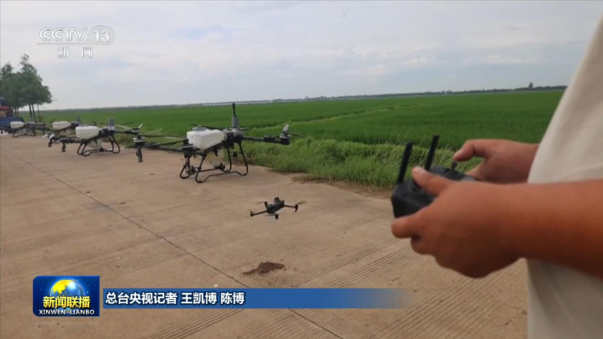 大面积单产提升持续加力 夯实秋粮稳产基础