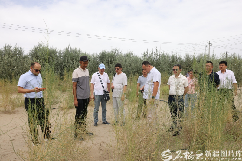 从“看一看”到“带回去” ——乌兹别克斯坦友好人士代表团参访新疆