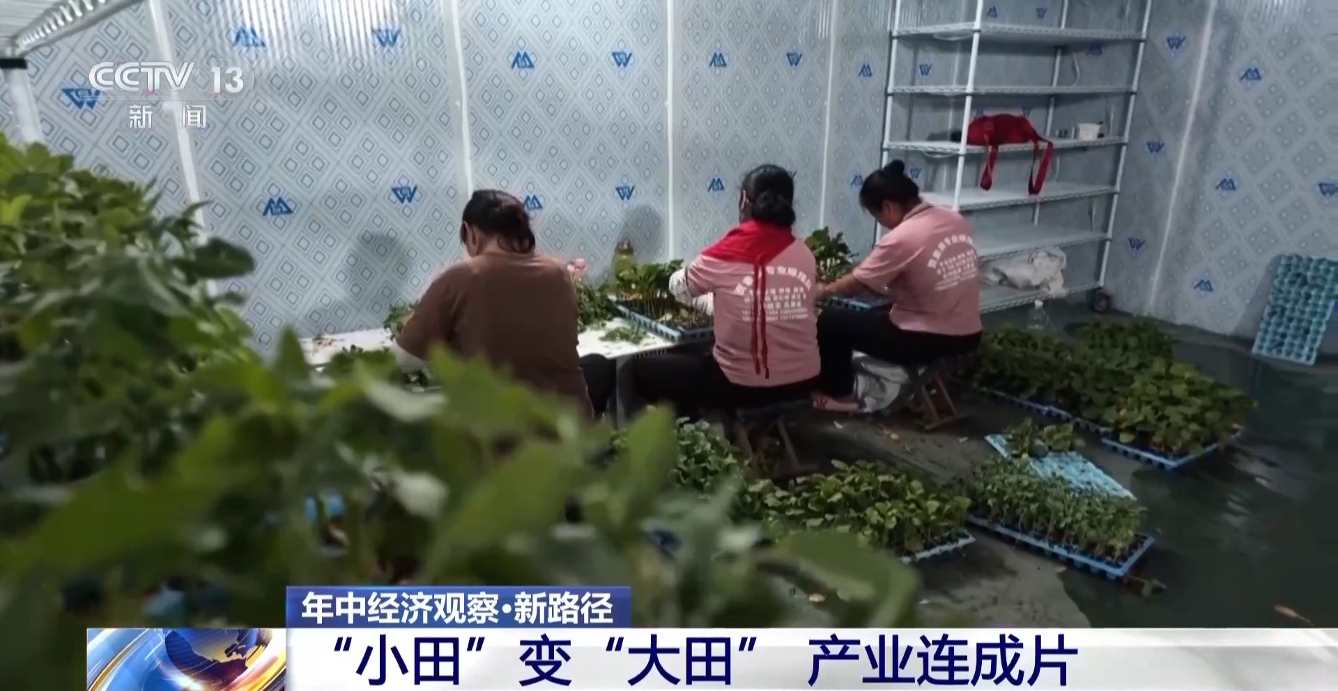 年中经济观察丨以河溪流域为脉 打造乡村振兴示范片区