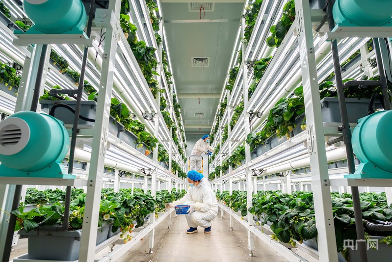 晶采观察丨新旧动能转换按下“加速键”激活中国经济增长潜力