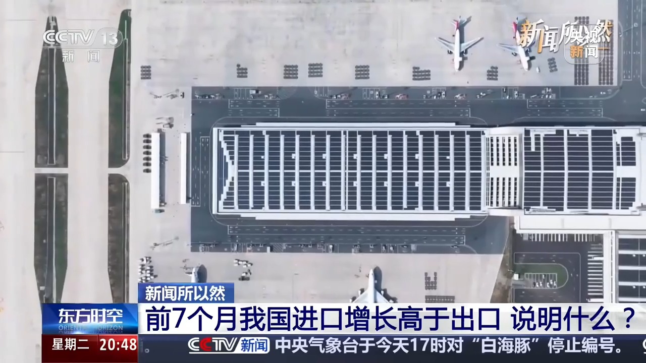 视频丨不只是“世界工厂”更是“世界市场”!上半年中国都在买什么?