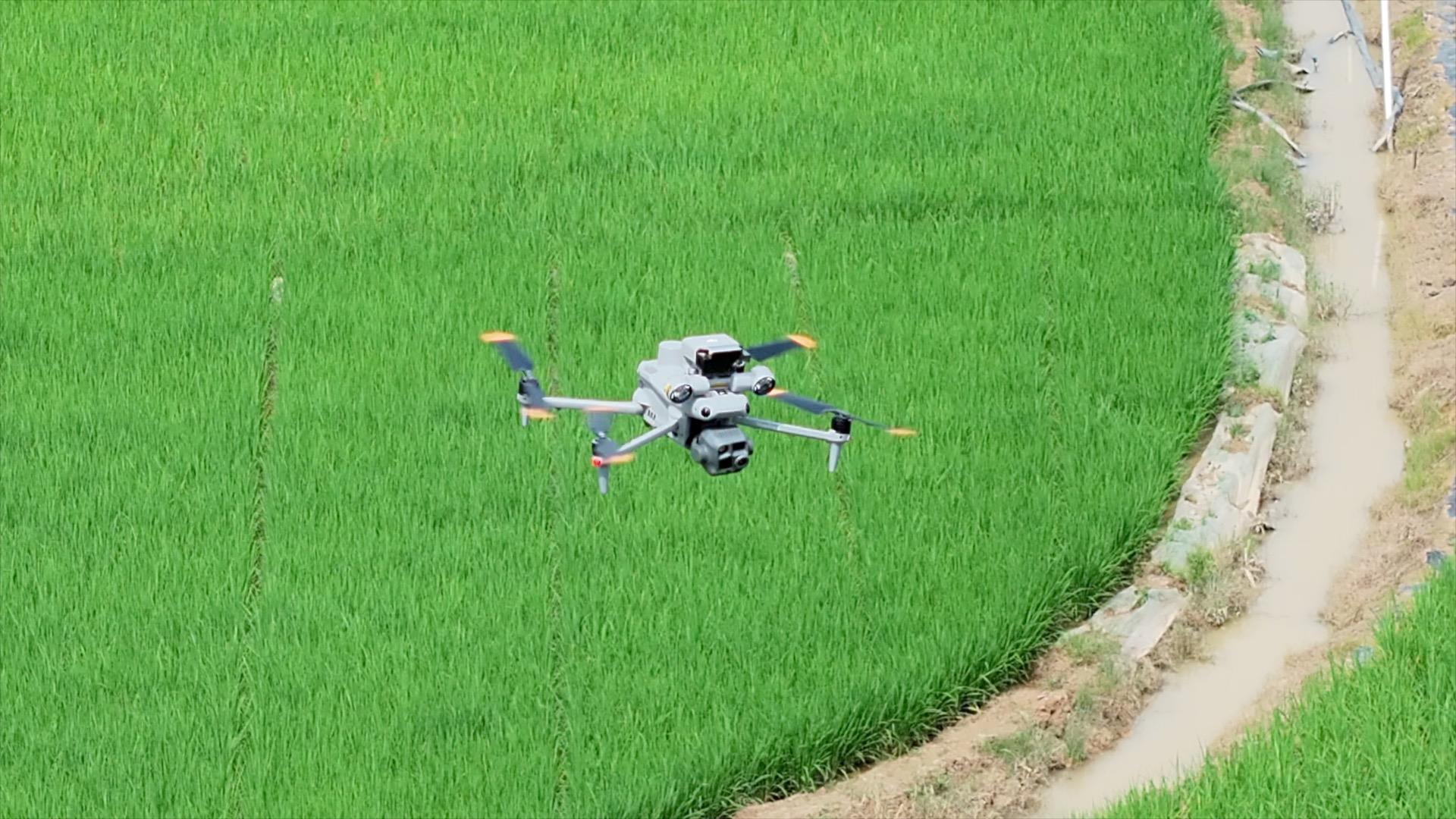 和谐共生|这支大象“明星旅行团”,南归之后怎样了?