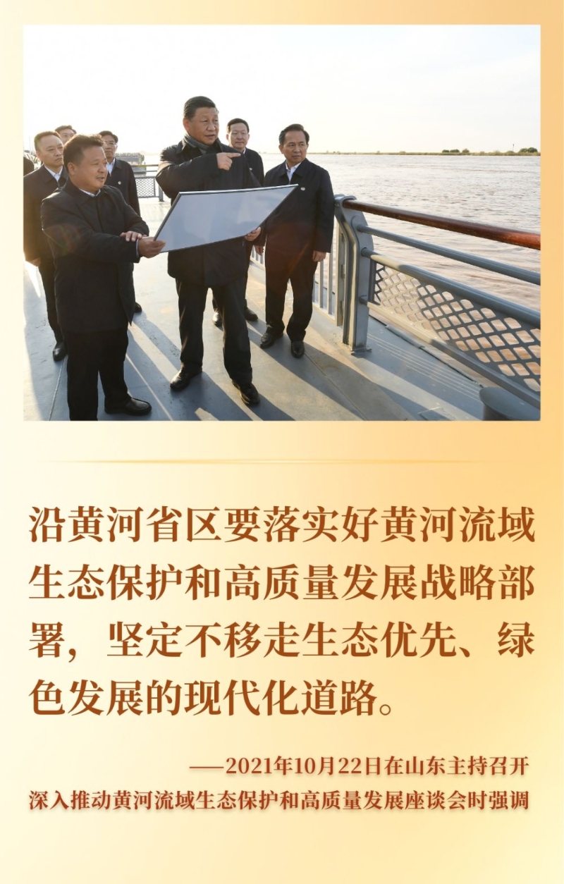 镜观·回响|九曲叠翠 黄河焕新