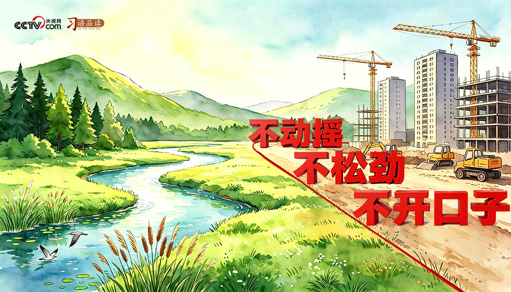和谐共生|不动摇、不松劲、不开口子