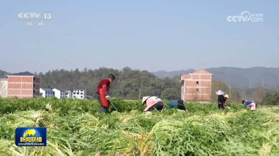 【新思想引领新征程】做大“蛋糕”缩小差距 浙江扎实推进共同富裕示范区建设