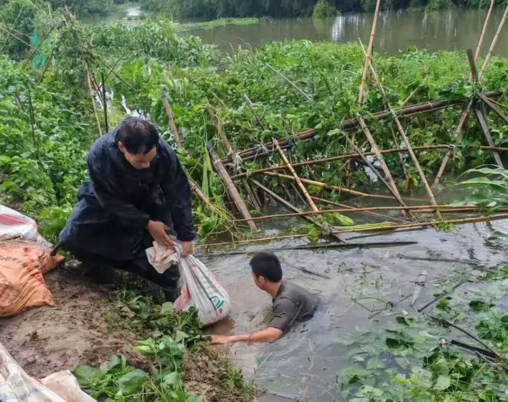 罕见风雨之后,这里忙碌未停