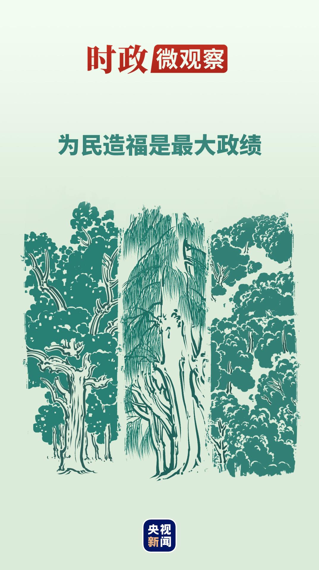 时政微观察丨从“树的故事”看正确政绩观