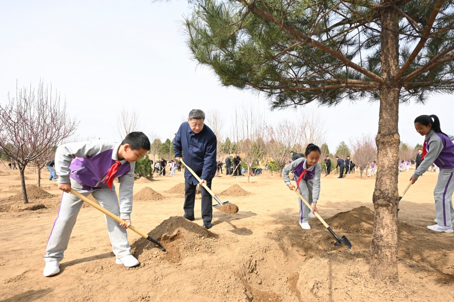 筑牢美丽中国建设的法治基石