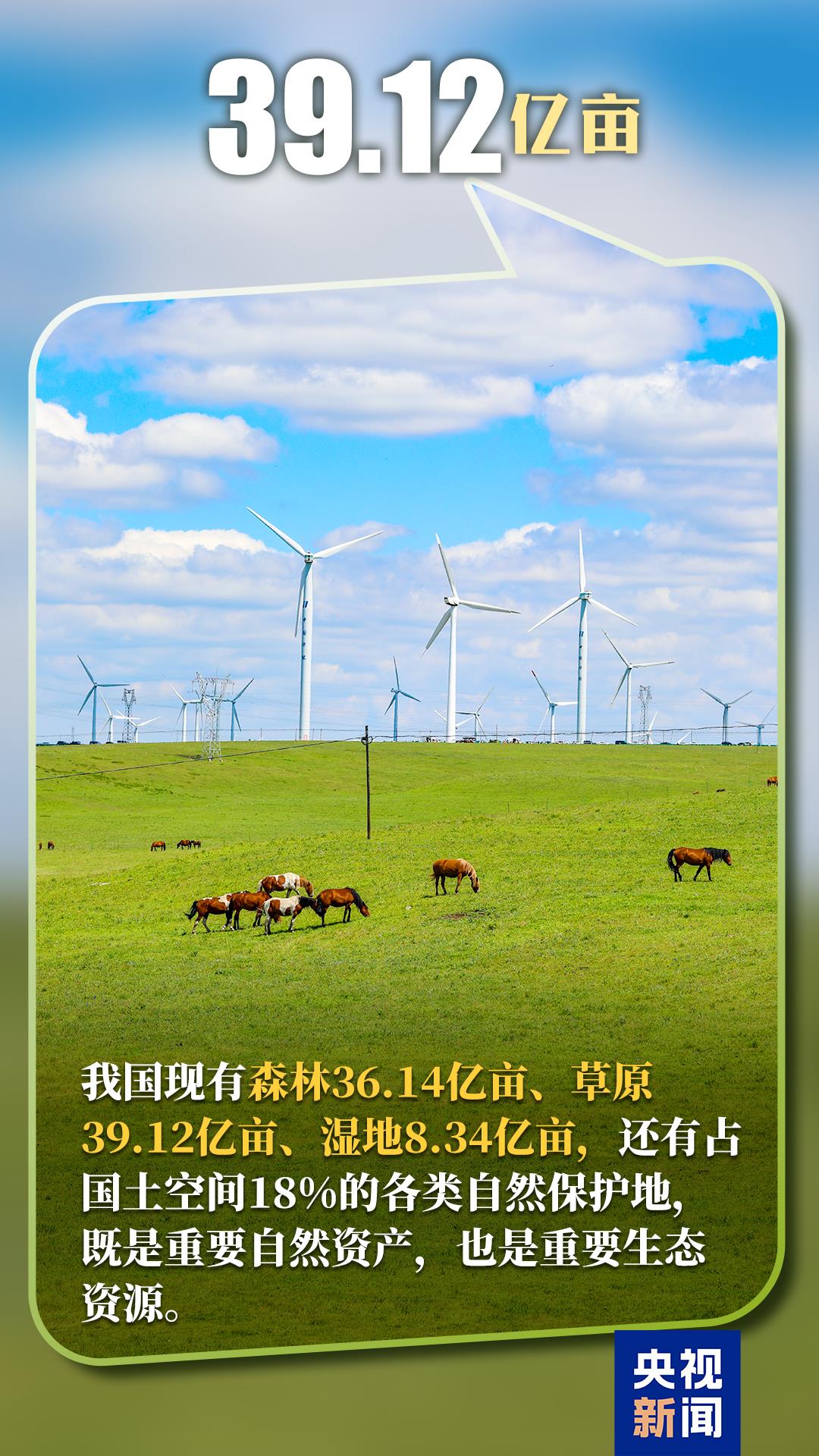 厚植绿色底色!一组数据解锁中国生态新图景