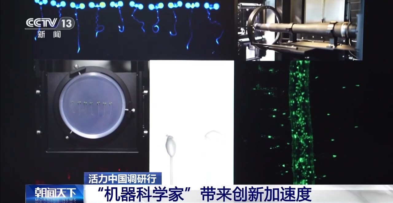 活力中国调研行丨从造梦到造物!博士生用新材料造出消防“铠甲”