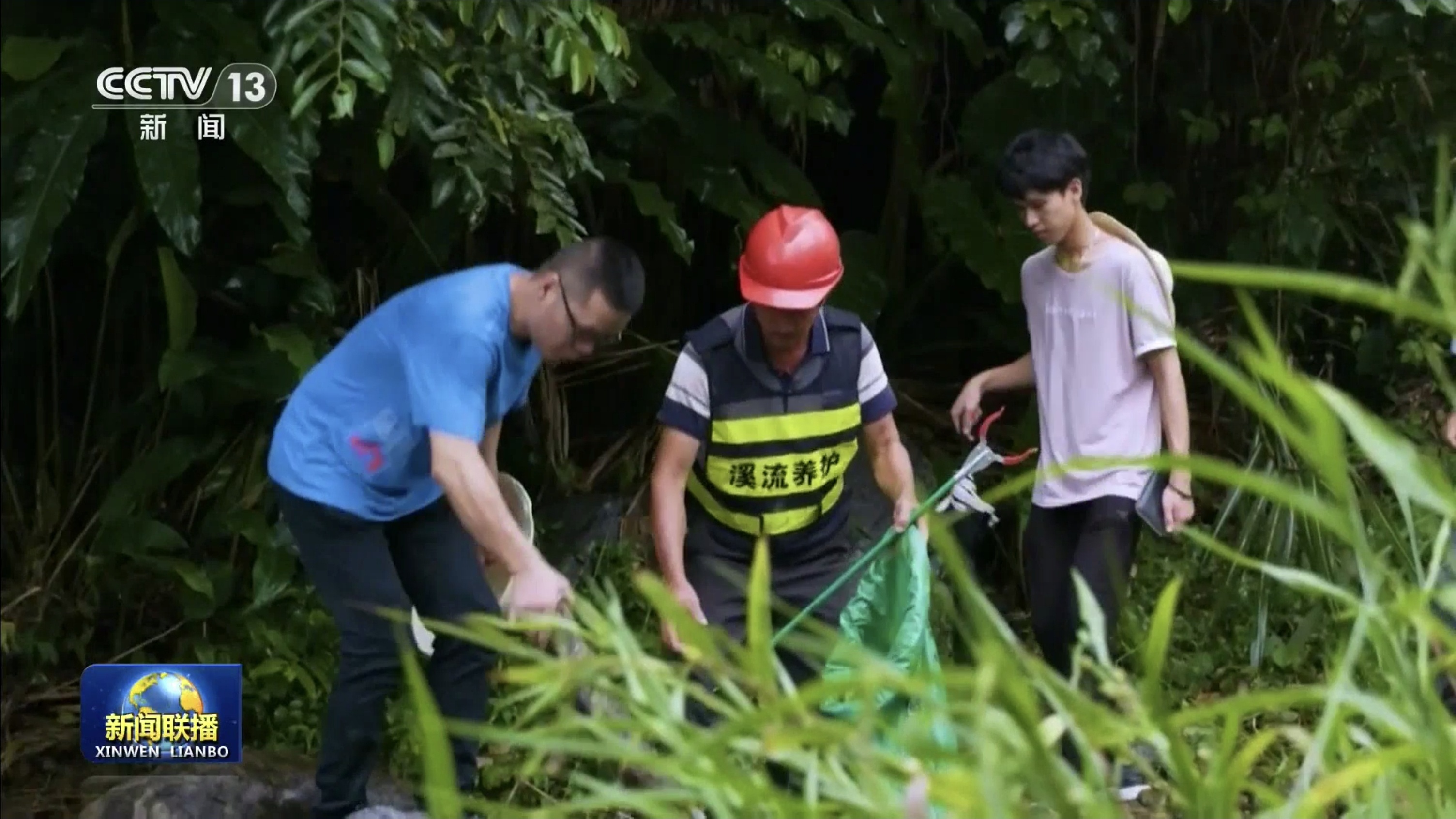 新思想引领新征程丨法治护航美丽中国建设 筑牢中华民族永续发展生态根基