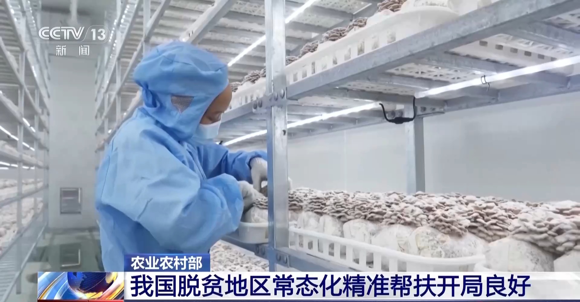 我国脱贫地区常态化精准帮扶开局良好
