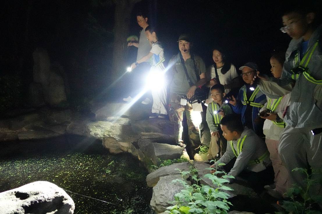 虫鸣香山奇妙夜,公园变身大课堂
