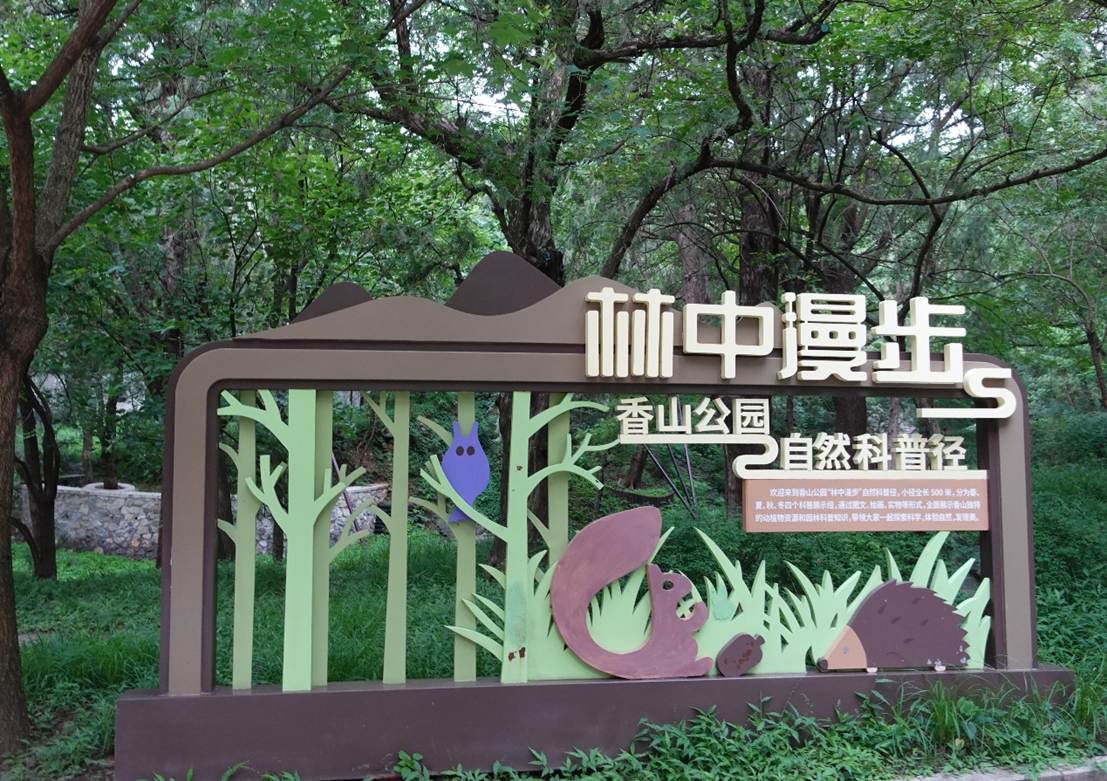 虫鸣香山奇妙夜,公园变身大课堂