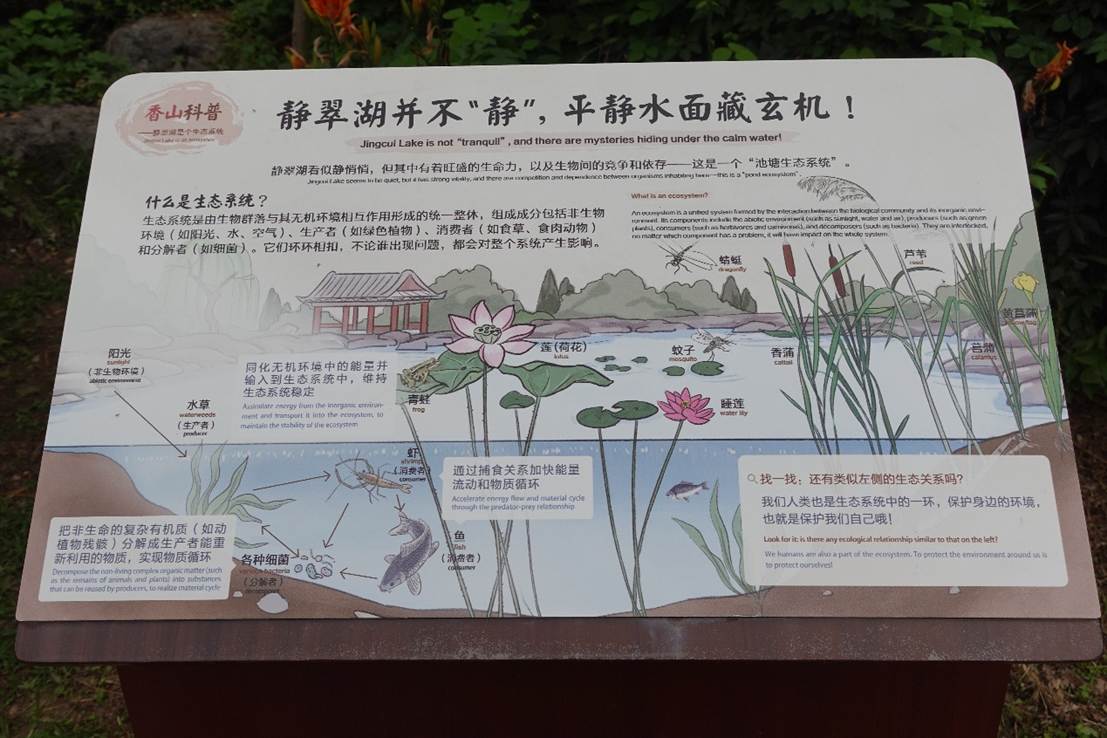 虫鸣香山奇妙夜,公园变身大课堂