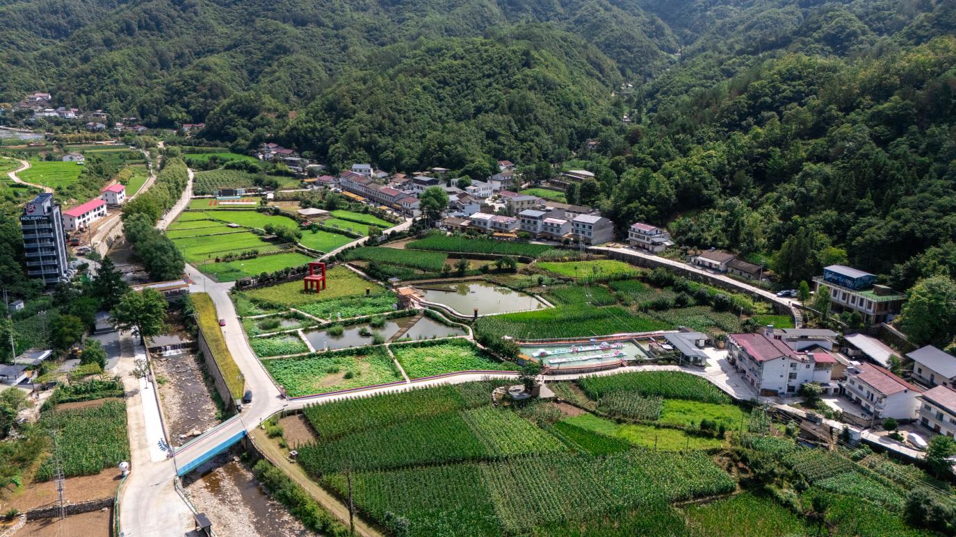 这座秦岭小城在绿水青山间蹚出“共富路”