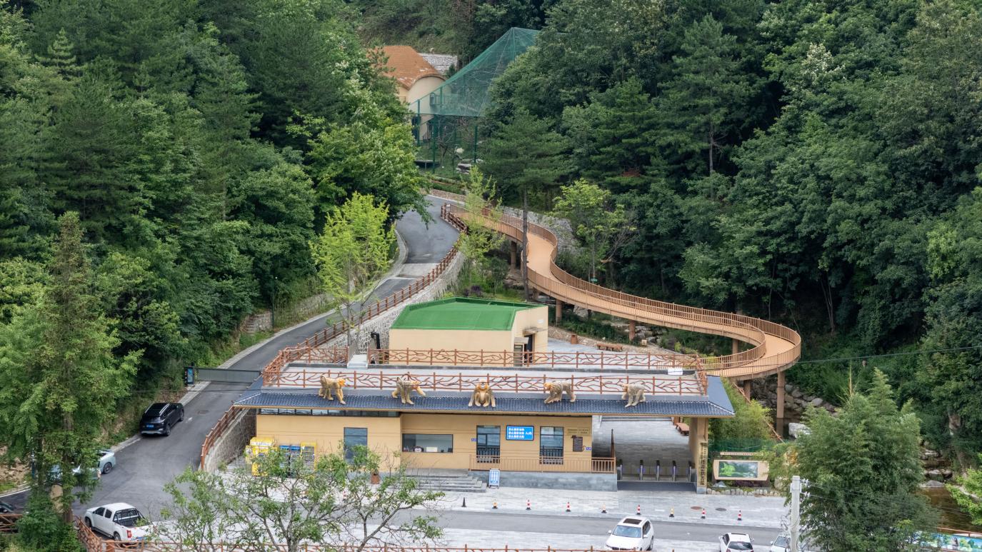 这座秦岭小城在绿水青山间蹚出“共富路”