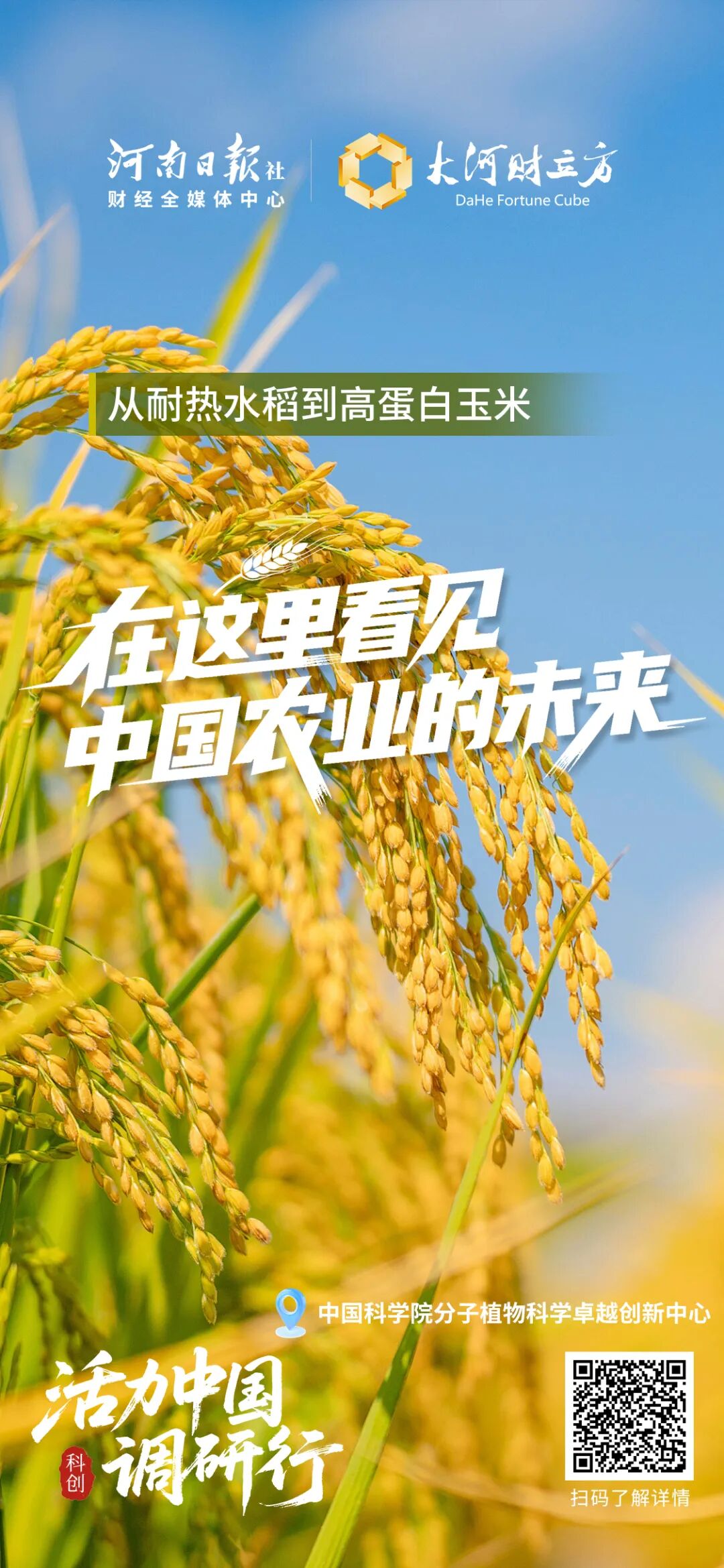 这100张海报,真有活力