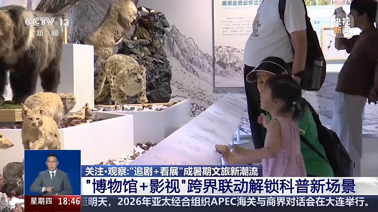 “追剧+看展”成暑期文旅新潮流 跨界联动解锁科普新场景
