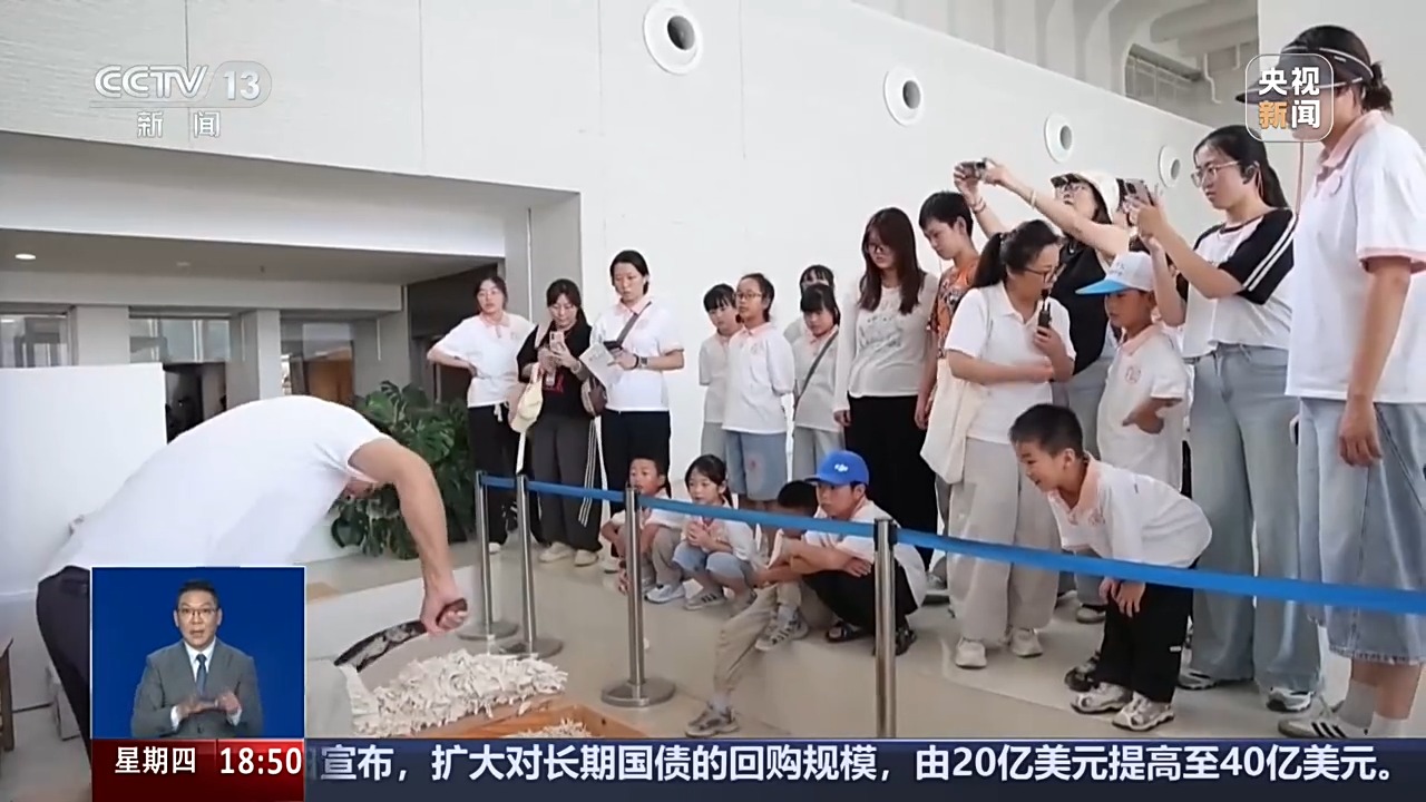 “追剧+看展”成暑期文旅新潮流 跨界联动解锁科普新场景