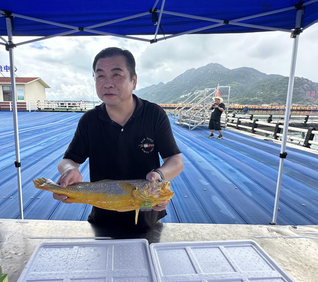 【活力中国调研行】福建宁德：“一条鱼”“一间房”揭示的活力密码