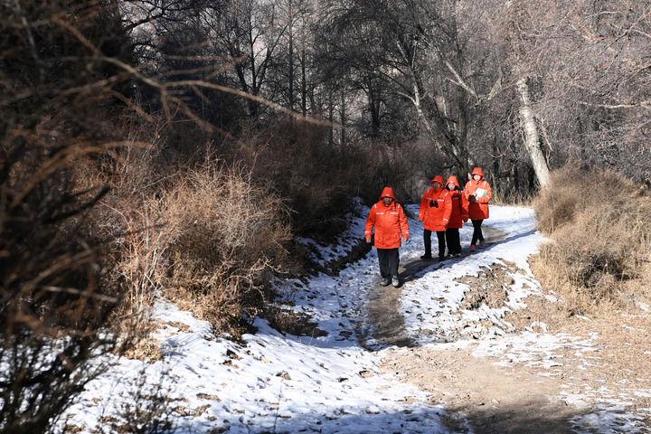 祁连山北麓生态环境蝶变十年观察