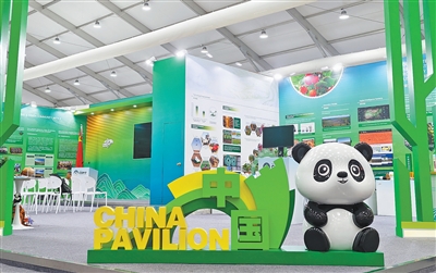 加强防沙治沙国际合作 推动全球环境治理