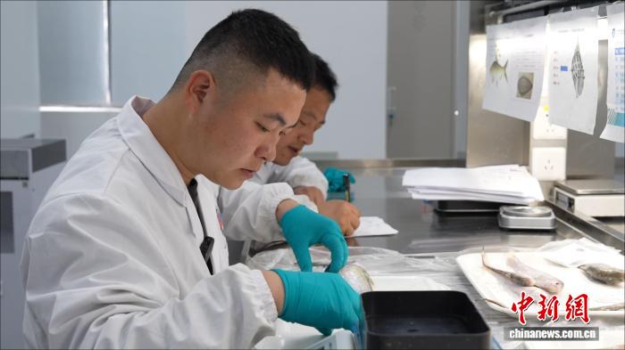 (长江十年行)从捕鱼到护鱼,两代人的交接与转身