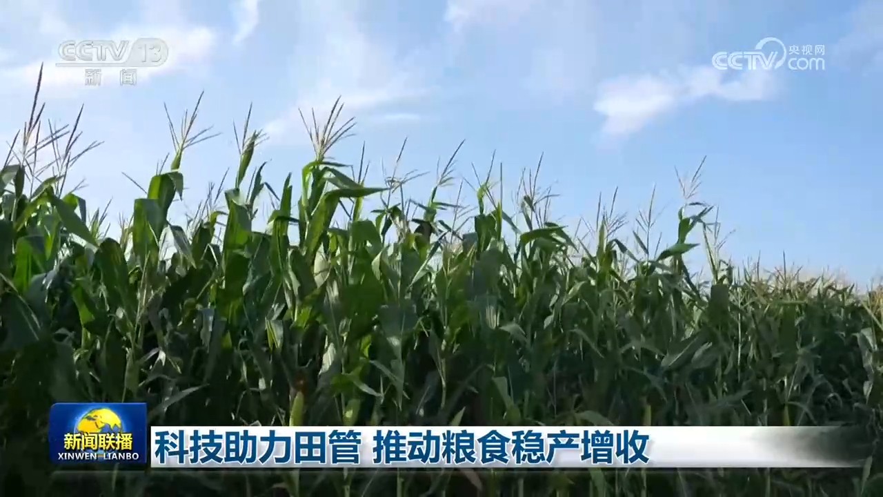 科技助力田管 推动粮食稳产增收